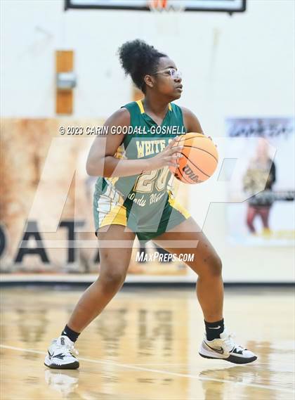 Thumbnail 2 in White Oak @ Croatan photogallery.
