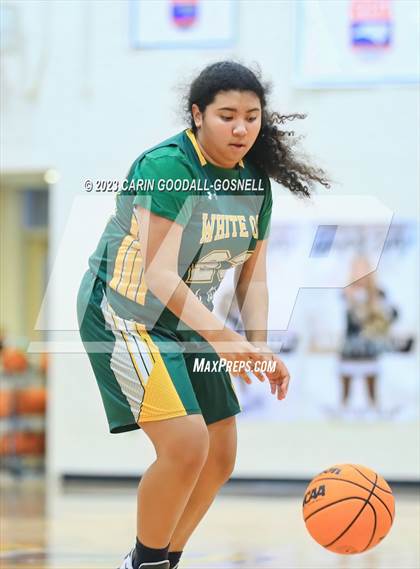 Thumbnail 2 in White Oak @ Croatan photogallery.