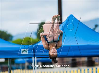 Thumbnail 2 in CIF CCS Girls Diving Championships photogallery.