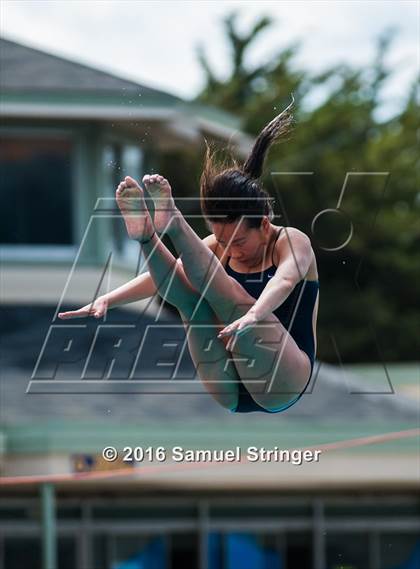 Thumbnail 1 in CIF CCS Girls Diving Championships photogallery.