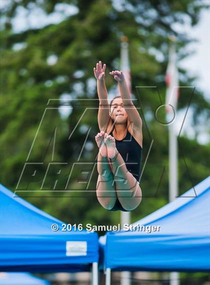 Thumbnail 3 in CIF CCS Girls Diving Championships photogallery.