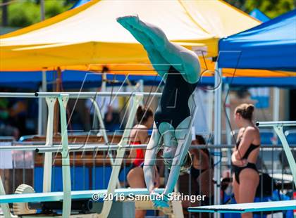 Thumbnail 2 in CIF CCS Girls Diving Championships photogallery.