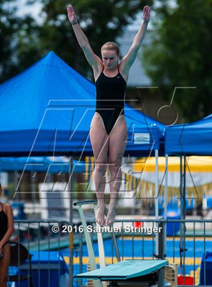 Thumbnail 1 in CIF CCS Girls Diving Championships photogallery.