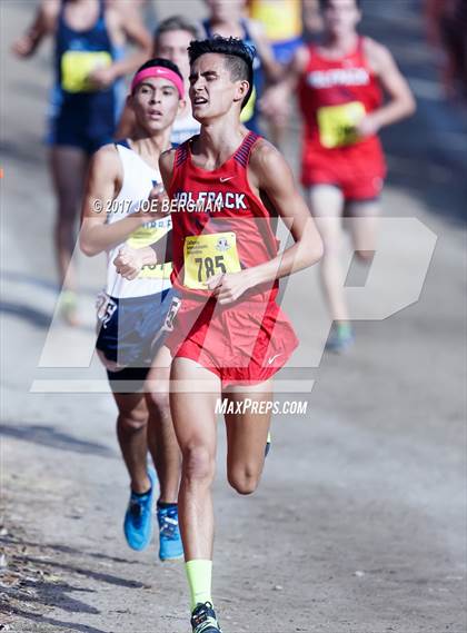 Thumbnail 1 in CIF State Cross Country Championships (Boys D1 Race) photogallery.