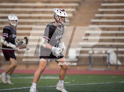 Thumbnail 1 in Cherry Creek vs Scarsdale photogallery.