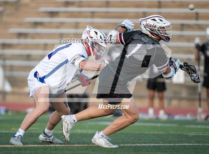 Thumbnail 1 in Cherry Creek vs Scarsdale photogallery.
