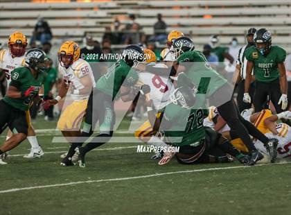 Thumbnail 3 in Roosevelt @ Dorsey photogallery.