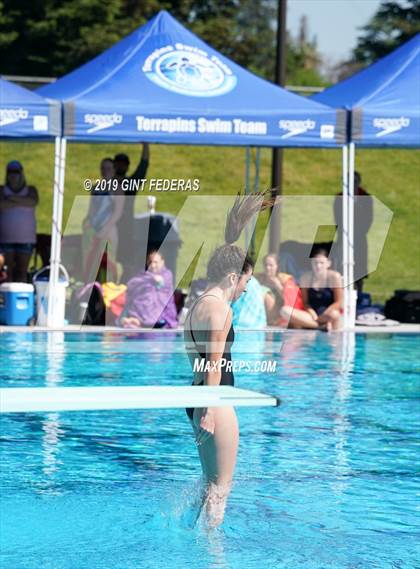 Thumbnail 2 in Diving CIF NCS Final (Monte Vista) photogallery.