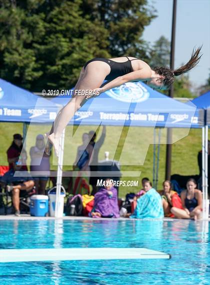 Thumbnail 2 in Diving CIF NCS Final (Monte Vista) photogallery.