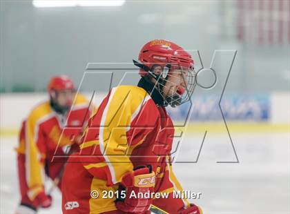 Thumbnail 2 in Williamsville East @ Hamburg photogallery.