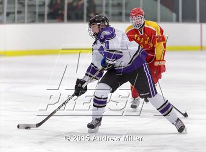 Thumbnail 1 in Williamsville East @ Hamburg photogallery.