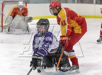 Thumbnail 1 in Williamsville East @ Hamburg photogallery.