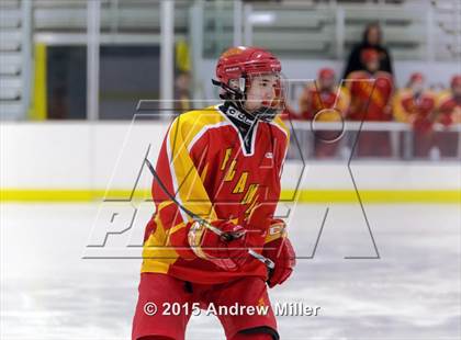 Thumbnail 3 in Williamsville East @ Hamburg photogallery.