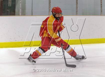 Thumbnail 2 in Williamsville East @ Hamburg photogallery.