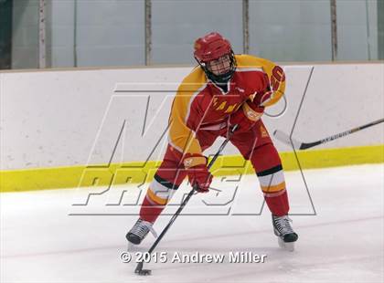 Thumbnail 1 in Williamsville East @ Hamburg photogallery.