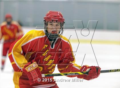 Thumbnail 3 in Williamsville East @ Hamburg photogallery.