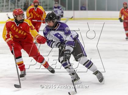 Thumbnail 1 in Williamsville East @ Hamburg photogallery.
