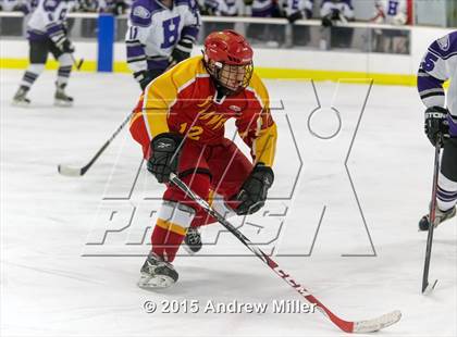Thumbnail 1 in Williamsville East @ Hamburg photogallery.
