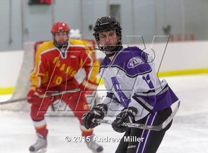 Thumbnail 2 in Williamsville East @ Hamburg photogallery.