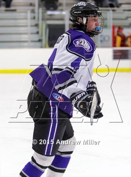 Thumbnail 3 in Williamsville East @ Hamburg photogallery.