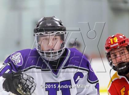 Thumbnail 1 in Williamsville East @ Hamburg photogallery.