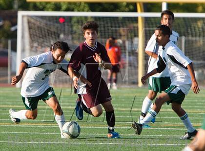 Thumbnail 3 in Florin @ Monterey Trail photogallery.