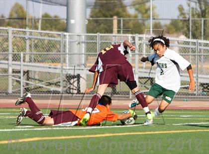 Thumbnail 1 in Florin @ Monterey Trail photogallery.