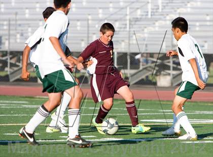 Thumbnail 3 in Florin @ Monterey Trail photogallery.