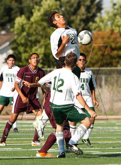 Thumbnail 2 in Florin @ Monterey Trail photogallery.