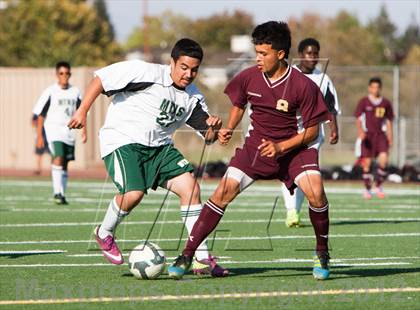 Thumbnail 3 in Florin @ Monterey Trail photogallery.