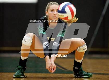 Thumbnail 1 in Carroll vs. Allen   photogallery.