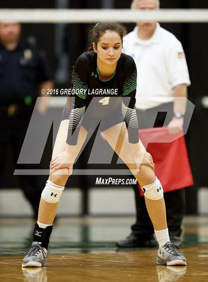Thumbnail 1 in Carroll vs. Allen   photogallery.