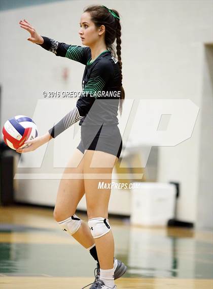 Thumbnail 3 in Carroll vs. Allen   photogallery.