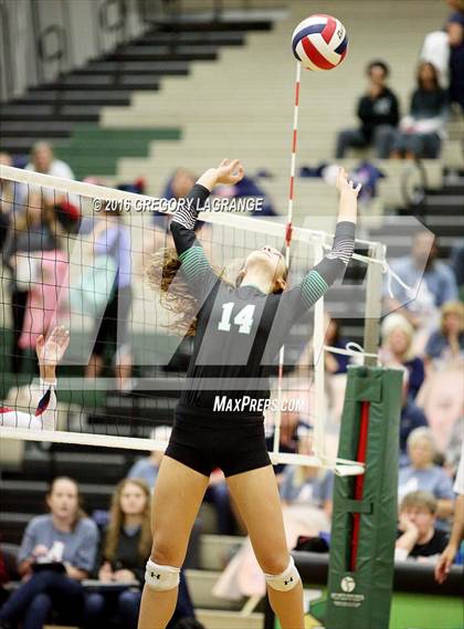 Thumbnail 1 in Carroll vs. Allen   photogallery.