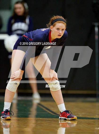 Thumbnail 2 in Carroll vs. Allen   photogallery.