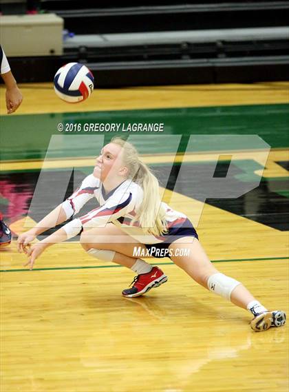 Thumbnail 2 in Carroll vs. Allen   photogallery.