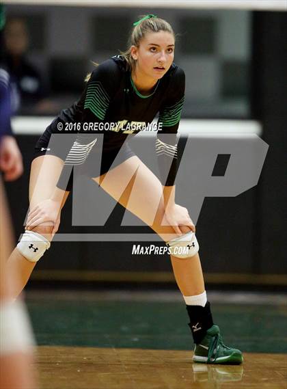 Thumbnail 3 in Carroll vs. Allen   photogallery.