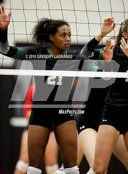 Thumbnail 1 in Carroll vs. Allen   photogallery.