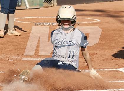 Thumbnail 2 in Cactus Shadows @ Horizon photogallery.