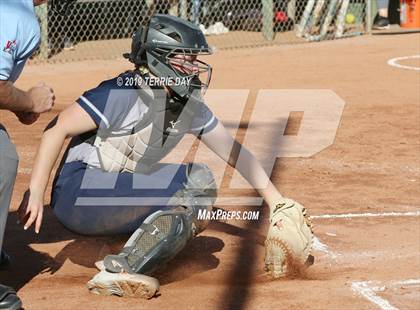 Thumbnail 2 in Cactus Shadows @ Horizon photogallery.