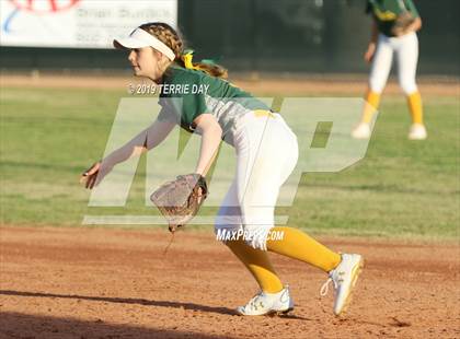 Thumbnail 2 in Cactus Shadows @ Horizon photogallery.