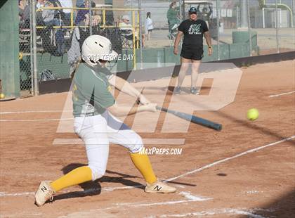 Thumbnail 1 in Cactus Shadows @ Horizon photogallery.