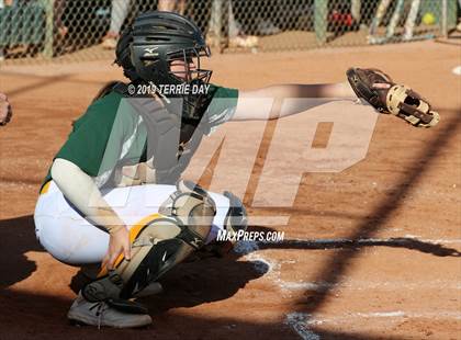 Thumbnail 2 in Cactus Shadows @ Horizon photogallery.