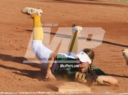 Thumbnail 1 in Cactus Shadows @ Horizon photogallery.