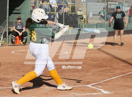 Thumbnail 1 in Cactus Shadows @ Horizon photogallery.