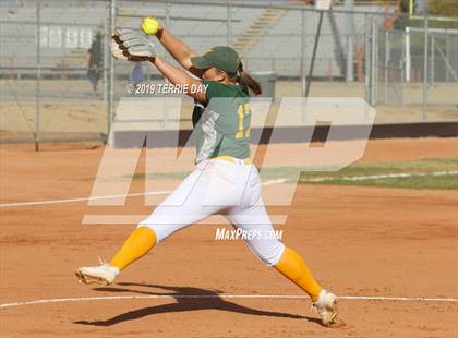 Thumbnail 2 in Cactus Shadows @ Horizon photogallery.
