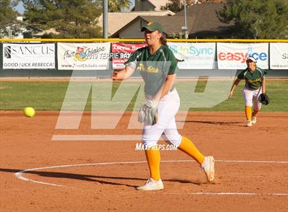 Thumbnail 2 in Cactus Shadows @ Horizon photogallery.