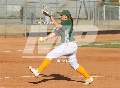 Thumbnail 1 in Cactus Shadows @ Horizon photogallery.
