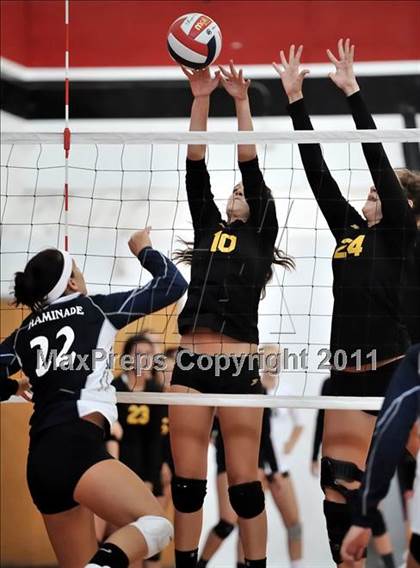 Thumbnail 2 in Chaminade @ Canyon (Molten Classic) photogallery.