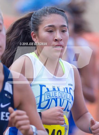 Thumbnail 2 in CIF State Cross Country Championships (Girls D1 Race) photogallery.